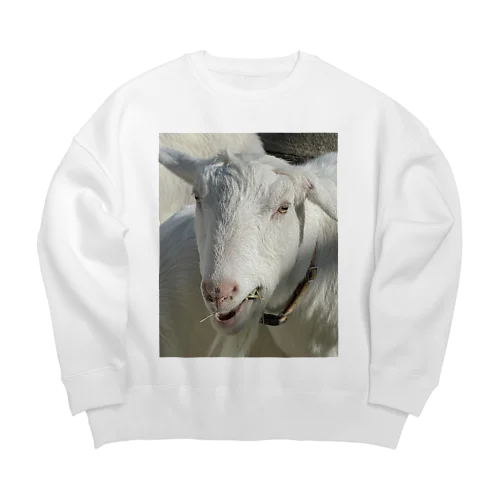 よく撮れたヤギ2 Big Crew Neck Sweatshirt