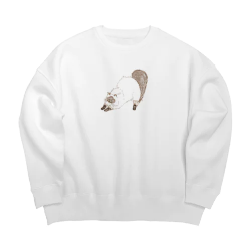 NOBI NOBI Big Crew Neck Sweatshirt