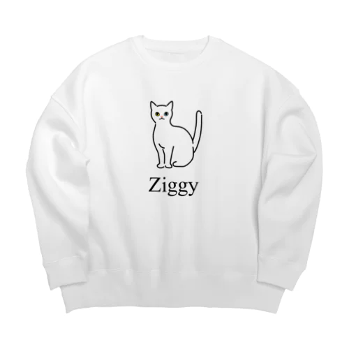 Ziggy Big Crew Neck Sweatshirt