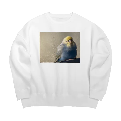 インコといっしょ Big Crew Neck Sweatshirt