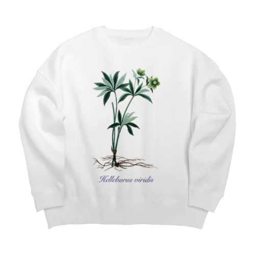 クリスマスローズ - アサギフユボタン Big Crew Neck Sweatshirt