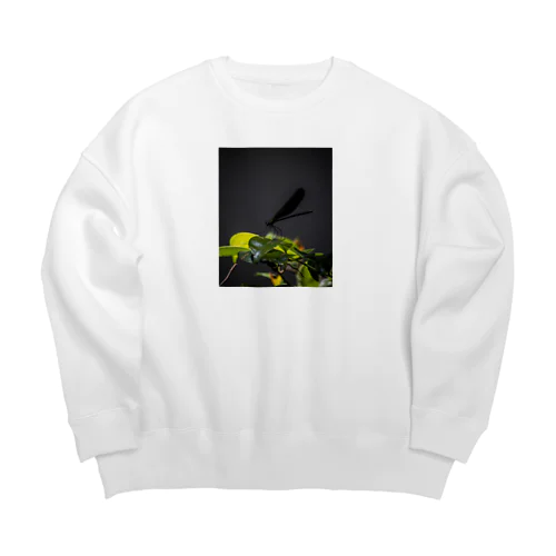 羽黒トンボ Big Crew Neck Sweatshirt