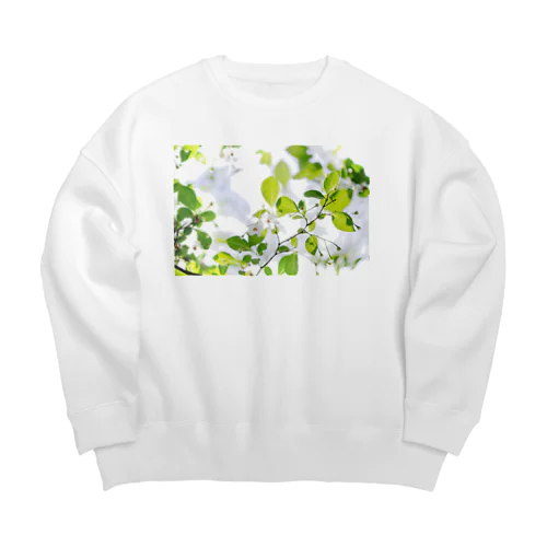 癒しの風景（エゴノキ） Big Crew Neck Sweatshirt