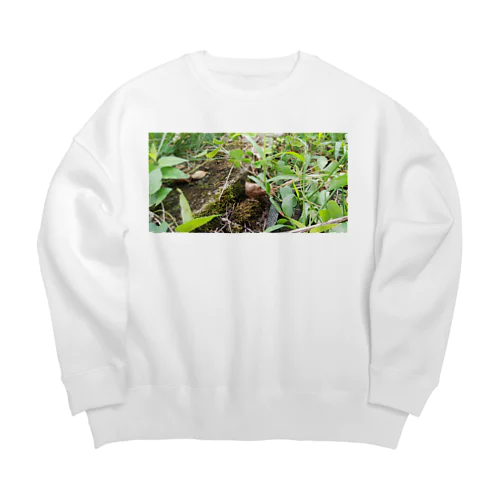 自然豊か Big Crew Neck Sweatshirt