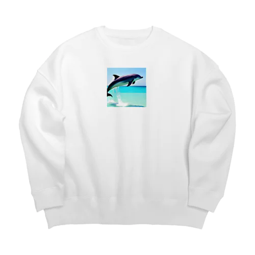 ドルフィン Big Crew Neck Sweatshirt