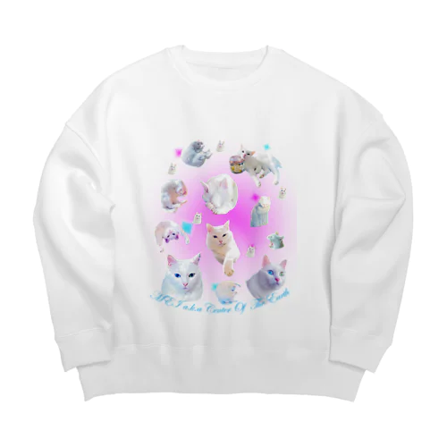 MEI a.k.a Center of the Earth  Big Crew Neck Sweatshirt