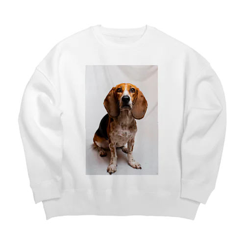 スタジオネリコ Big Crew Neck Sweatshirt