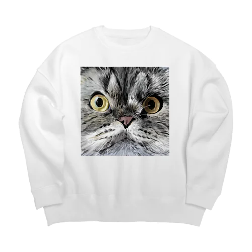 Rooey Big Crew Neck Sweatshirt