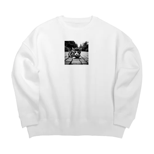 こんにちは Big Crew Neck Sweatshirt