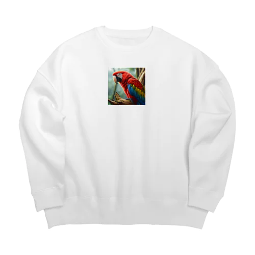 コンゴウインコ Big Crew Neck Sweatshirt