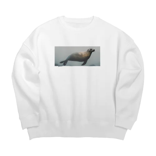 しーおーるずの服_6 Big Crew Neck Sweatshirt