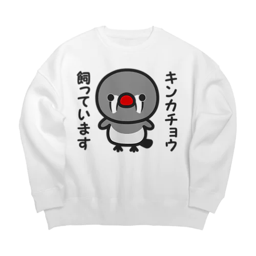 キンカチョウ飼っています（メス） Big Crew Neck Sweatshirt