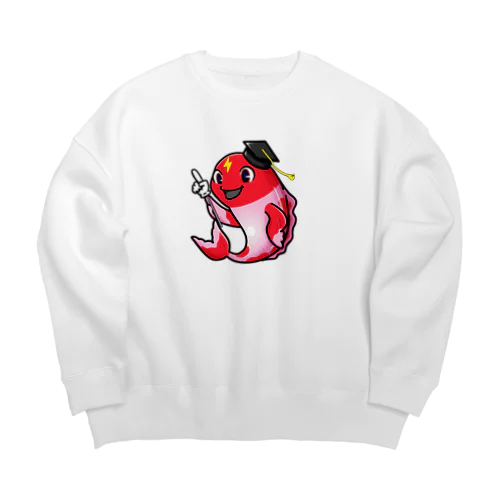 プラズマコイ Big Crew Neck Sweatshirt