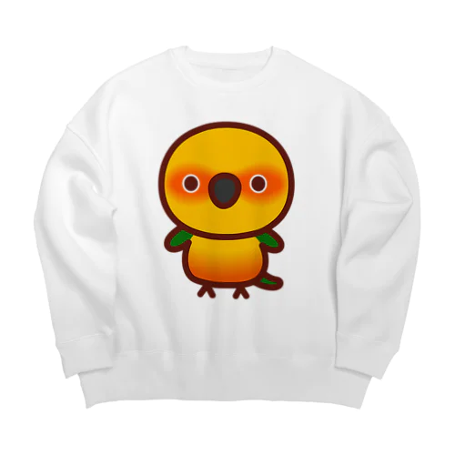 ナナイロメキシコインコ Big Crew Neck Sweatshirt