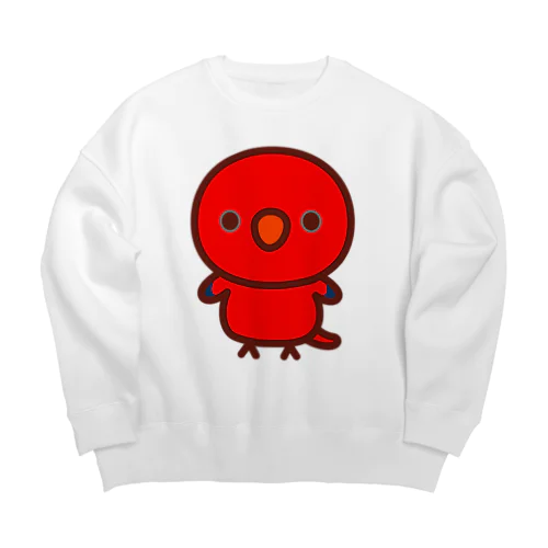 ヒインコ Big Crew Neck Sweatshirt