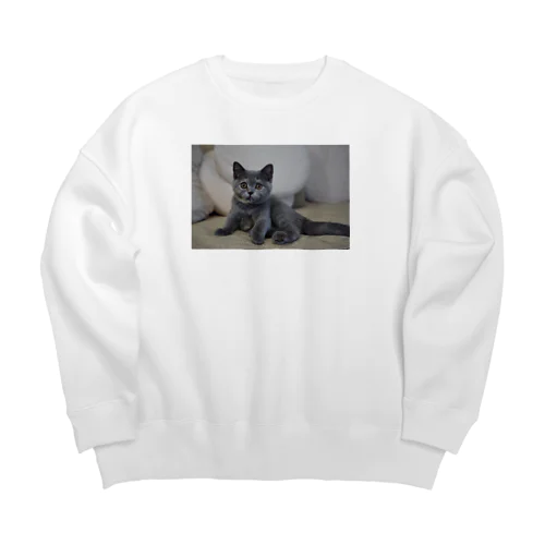 sakura2024 Big Crew Neck Sweatshirt