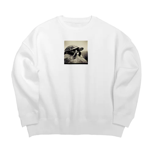 ３、風に立つカメ Big Crew Neck Sweatshirt