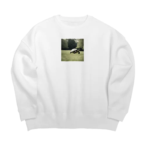 ４、カメのお散歩 Big Crew Neck Sweatshirt