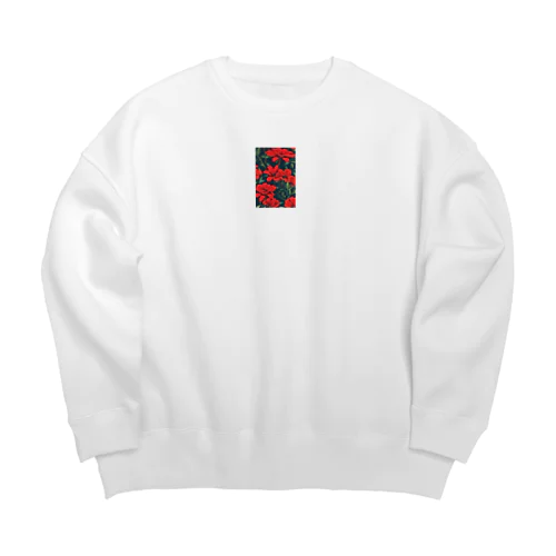 赤花 Big Crew Neck Sweatshirt