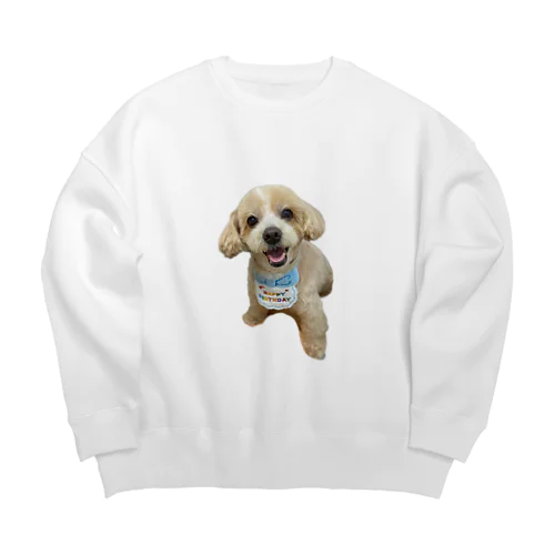 mayo Big Crew Neck Sweatshirt