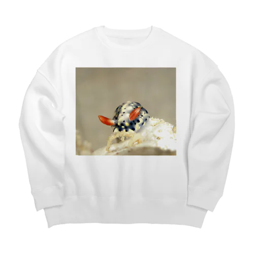 海中写真2　ホシゾラウミウシ Big Crew Neck Sweatshirt