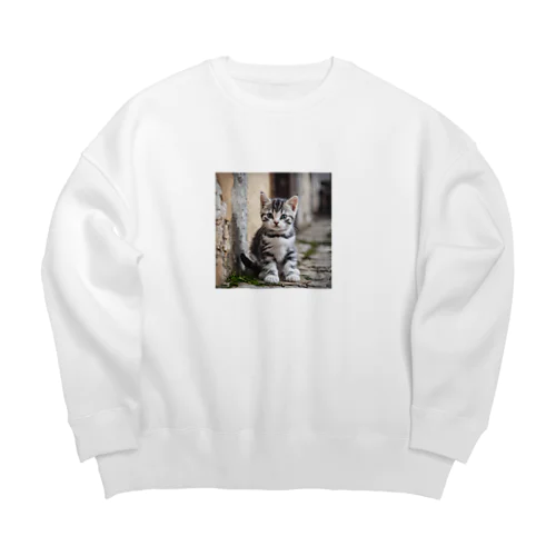 アメショーのお散歩 Big Crew Neck Sweatshirt