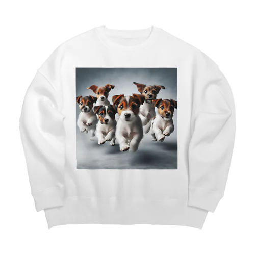 FlyingJacky Big Crew Neck Sweatshirt