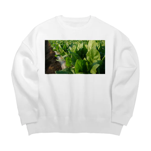 ほうれん草 Big Crew Neck Sweatshirt