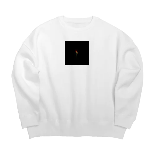 ＨＡＮＡ　ＡＮＮＡ Big Crew Neck Sweatshirt