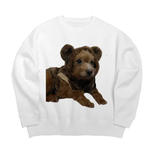 coco Big Crew Neck Sweatshirt