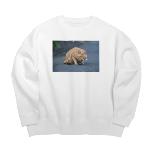 睨む猫 Big Crew Neck Sweatshirt