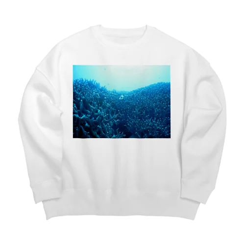 青い珊瑚礁 Big Crew Neck Sweatshirt