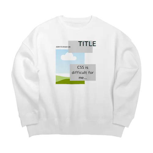 I got CSS! Big Crew Neck Sweatshirt