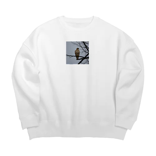 天候の変化に備えるタカ Big Crew Neck Sweatshirt