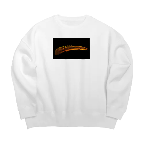 ポリプテルス グッズ Big Crew Neck Sweatshirt