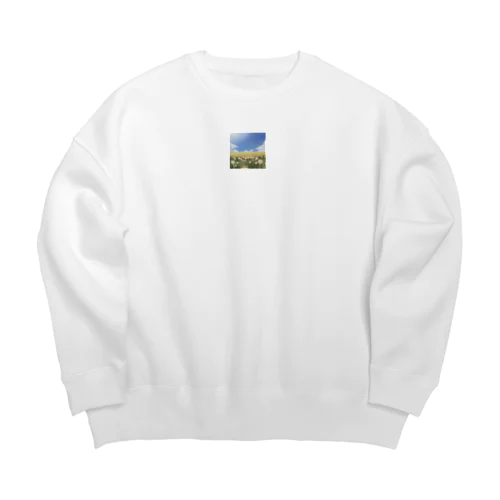 穏やか Big Crew Neck Sweatshirt