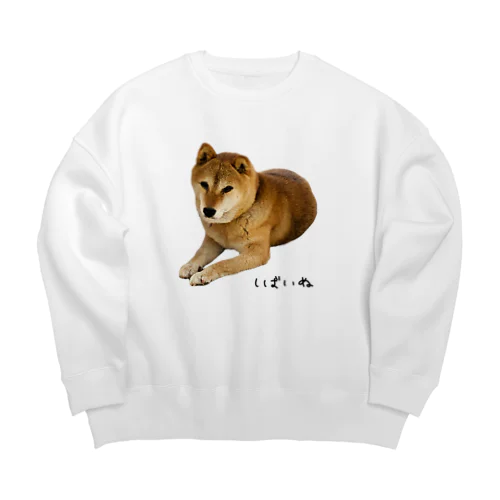 伏せ？してる柴犬さん Big Crew Neck Sweatshirt