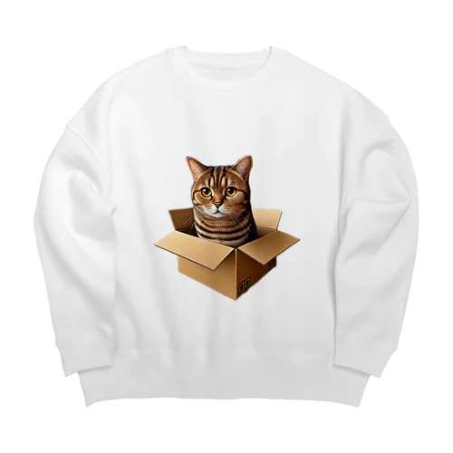 小梅ちゃん　箱猫 Big Crew Neck Sweatshirt