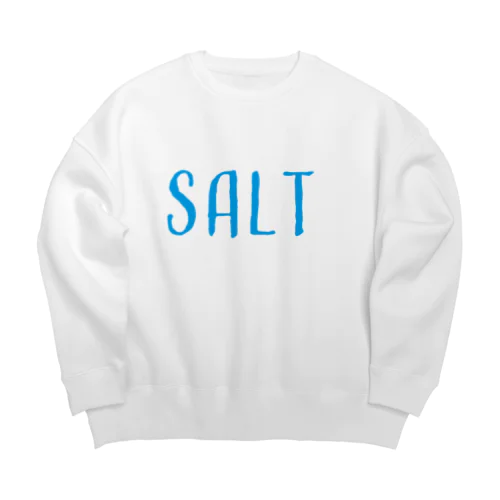 SALT  light blue Big Crew Neck Sweatshirt