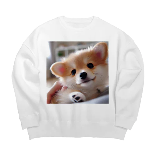 もふわん Big Crew Neck Sweatshirt