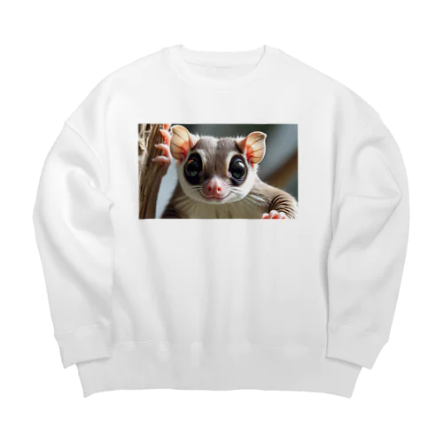 2025年6月24日につくったアイテム Big Crew Neck Sweatshirt