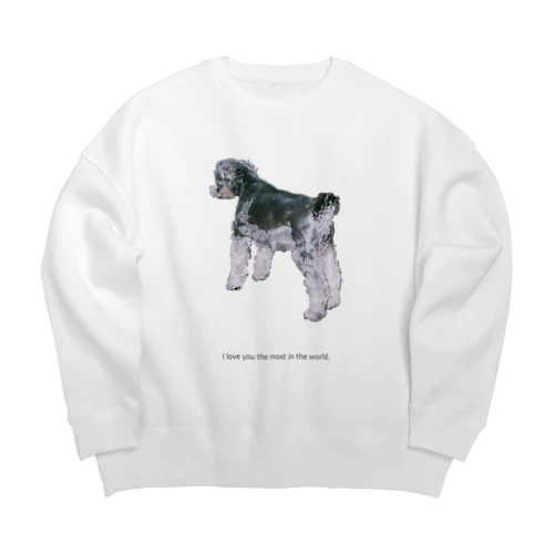 rina_5 Big Crew Neck Sweatshirt