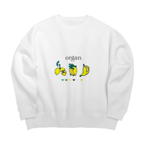 organ Big Crew Neck Sweatshirt
