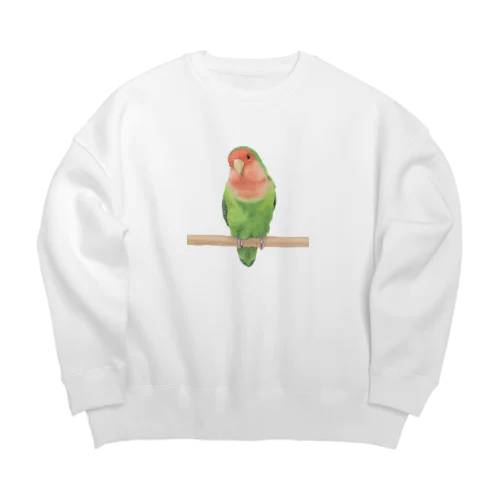 コザクラインコ Big Crew Neck Sweatshirt