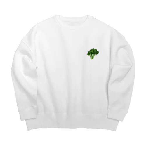 パセッコリー Big Crew Neck Sweatshirt