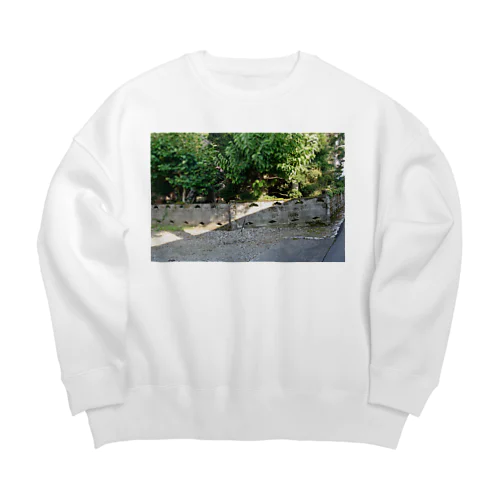 NIINO Big Crew Neck Sweatshirt