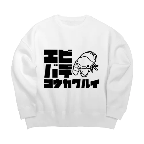 Test Big Crew Neck Sweatshirt