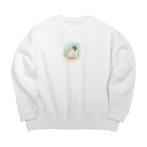 んん…？ Big Crew Neck Sweatshirt