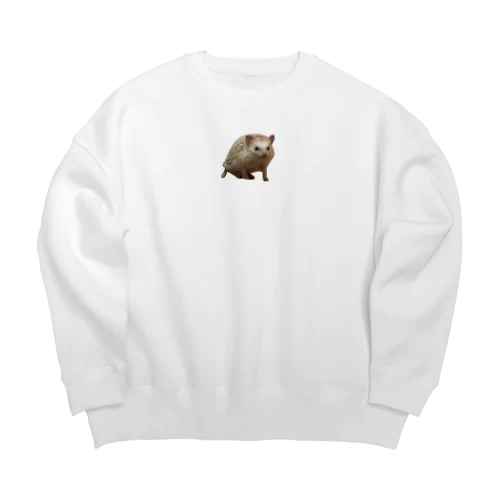 ハリネズミ Big Crew Neck Sweatshirt