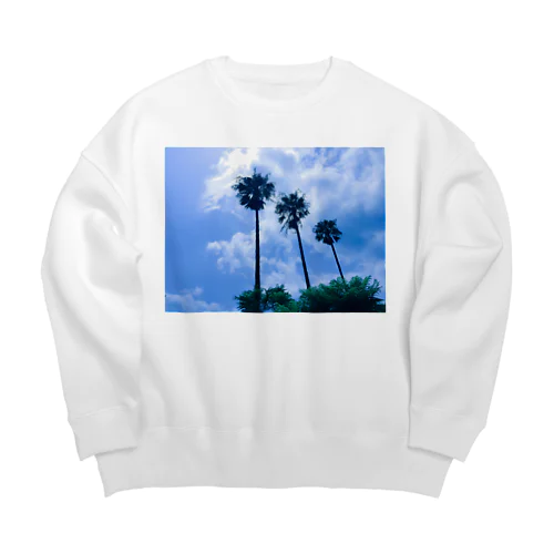 s u m m e r Big Crew Neck Sweatshirt